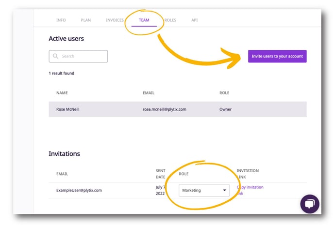 The Team tab lets you invite users to your account as well as assign roles to users.