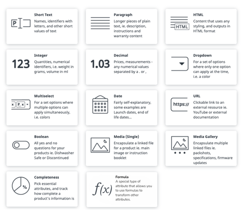 Attribute-types-overview-2025