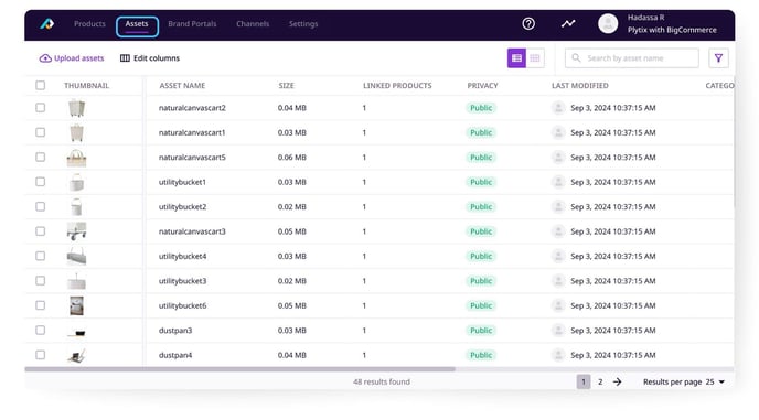 assets-overview