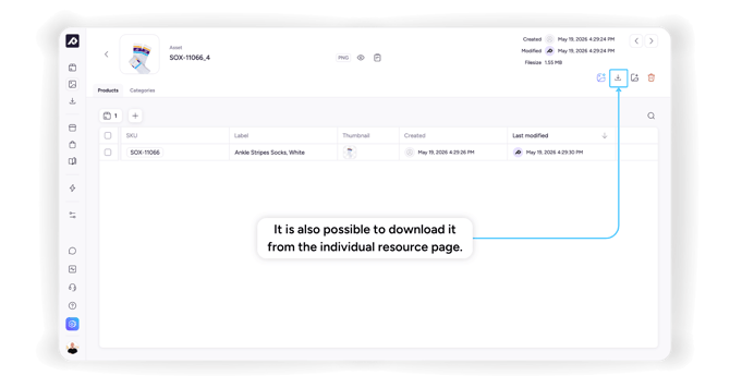 4. Download individual assets