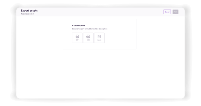 9. Export assets format