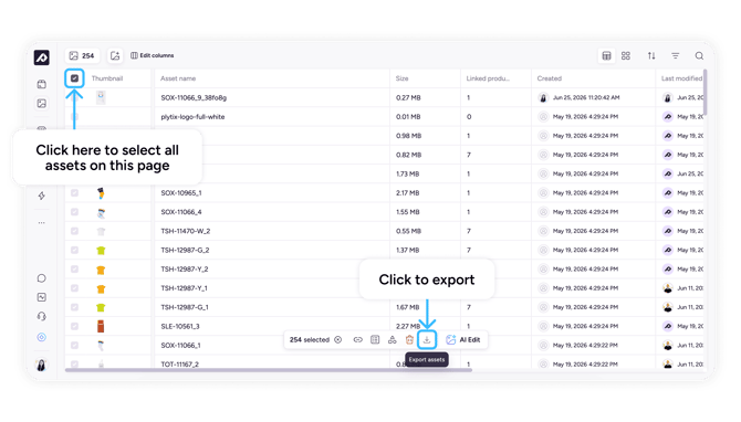 assets-export