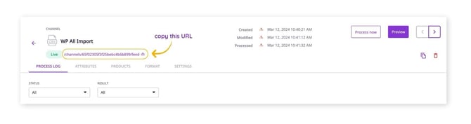 WP All Import Update