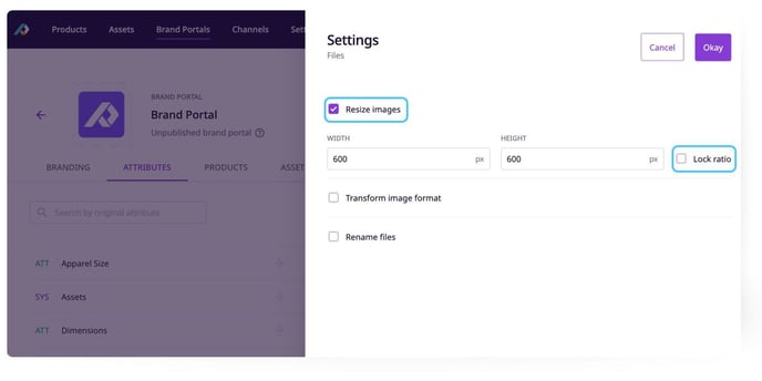 Export Settings for Media Attributes-2.1b