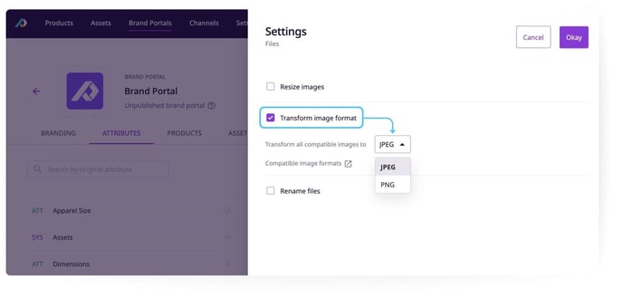 Export Settings for Media Attributes-3.1