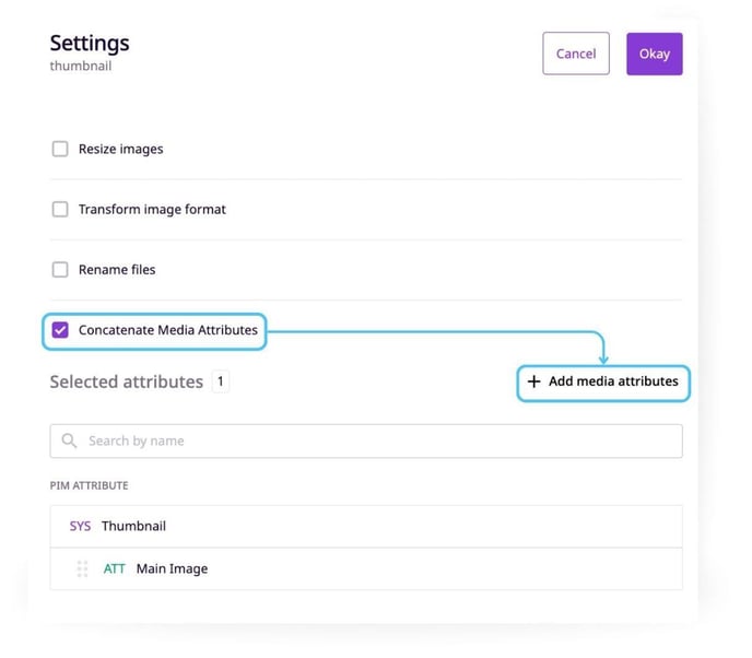 Export Settings for Media Attributes-6.1jpg
