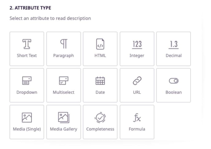 Attribute type