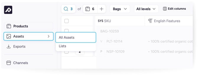 Navigating the Asset Overview Page