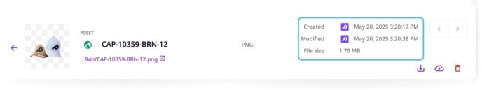 File Type, Size, and Access Dates